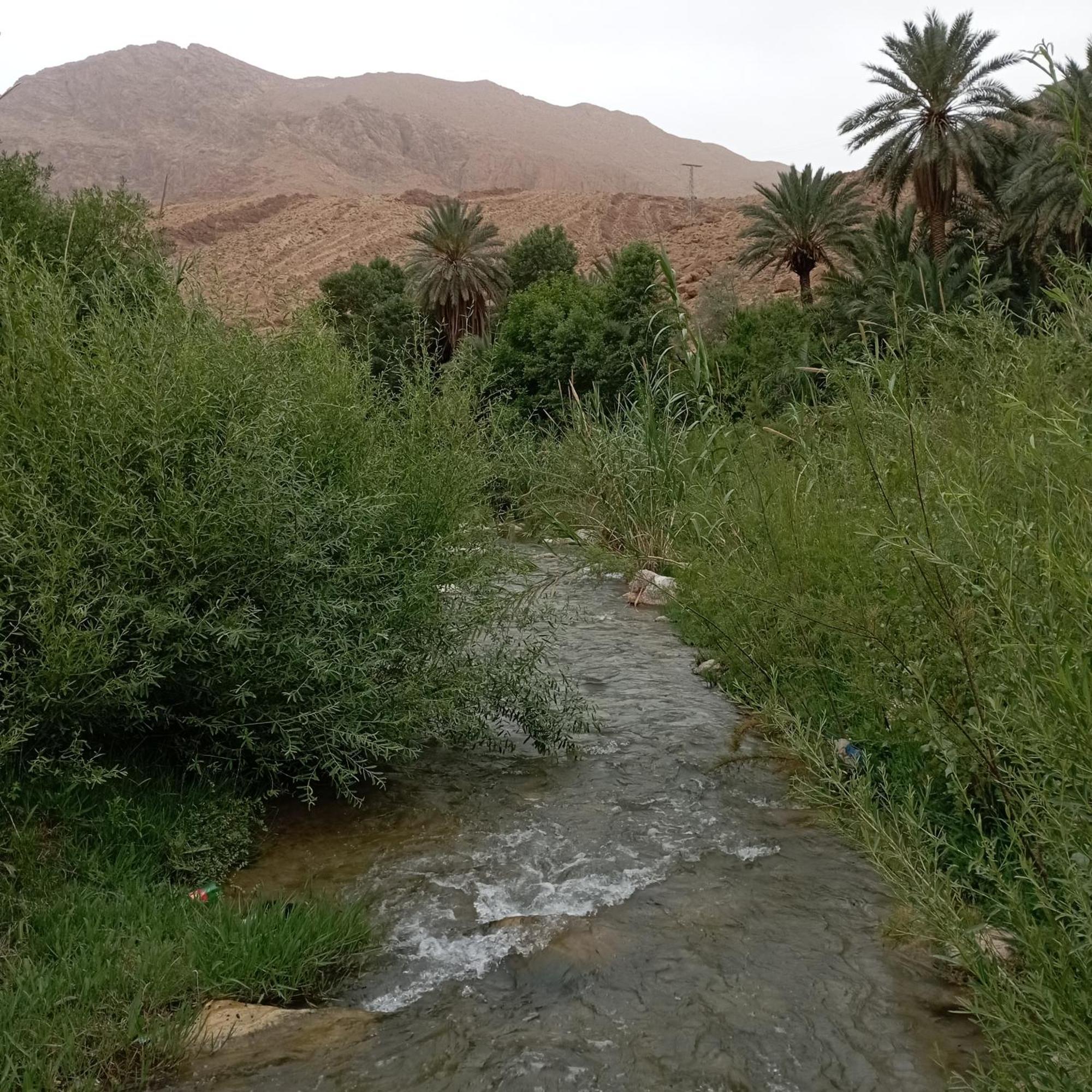 Riad La Fleur Aït Baha الغرفة الصورة