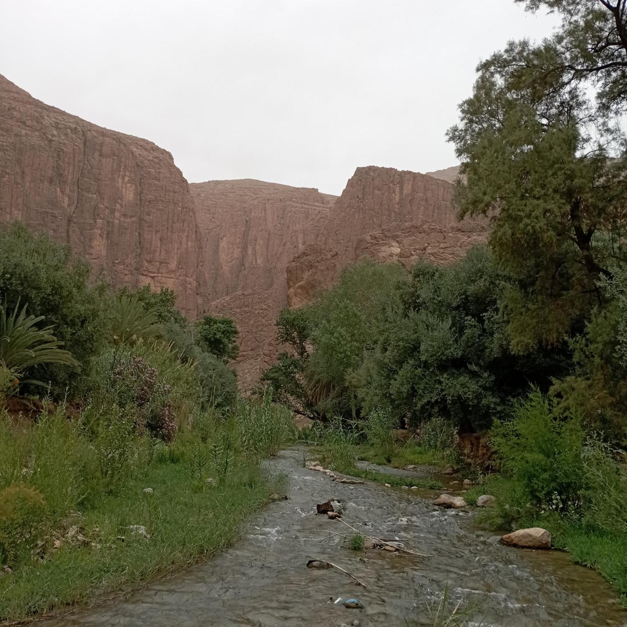 Riad La Fleur Aït Baha الغرفة الصورة